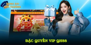 Đặc quyền VIP QH88