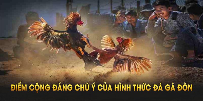 Những điểm cộng đáng chú ý của hình thức đá gà đòn QH88